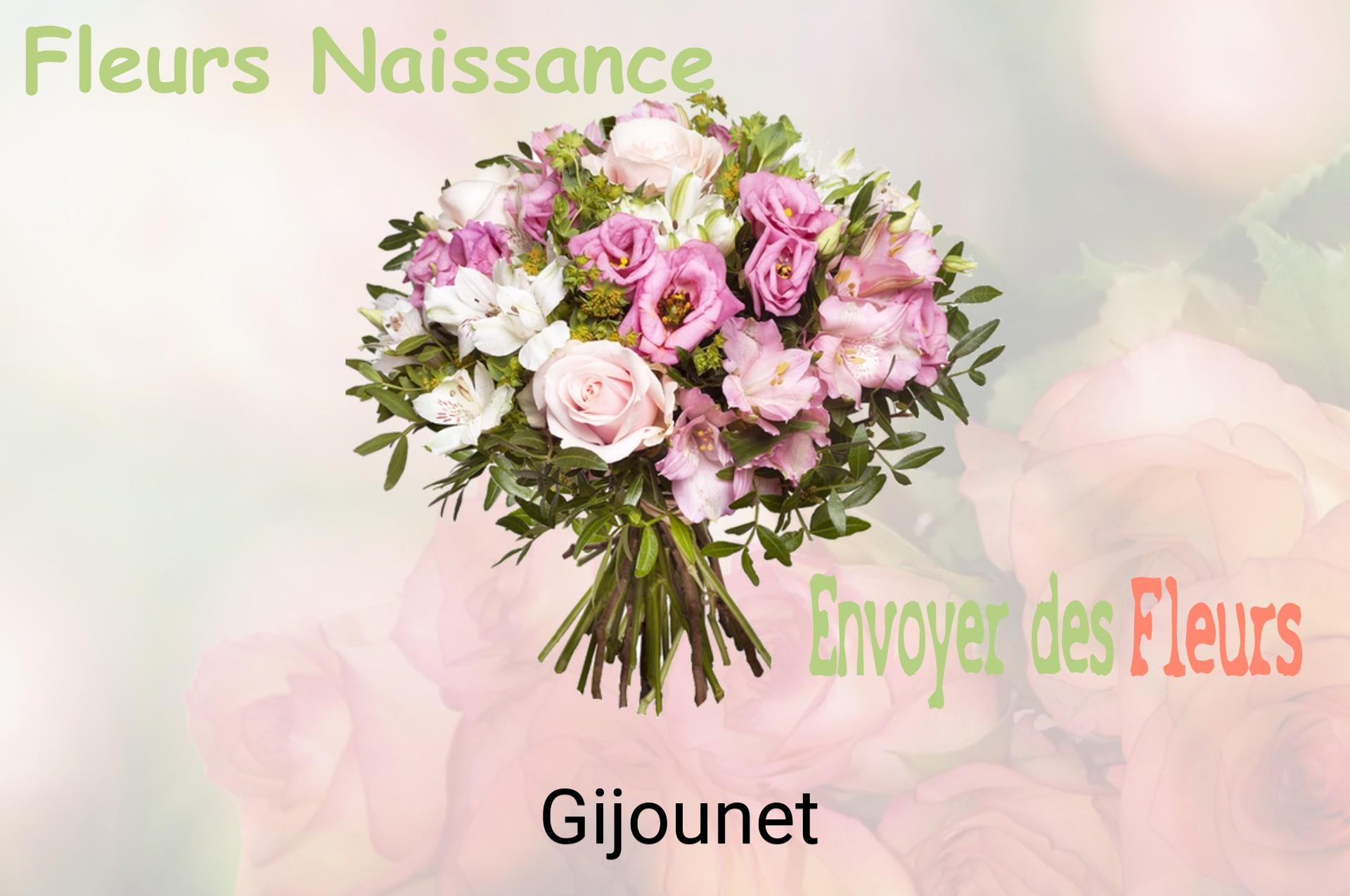 Bouquet de fleurs de naissance livré à Gijounet